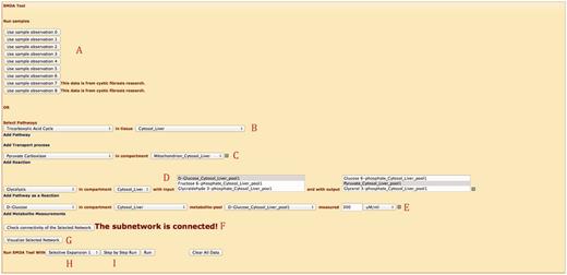 Web interface for SMDA tool.