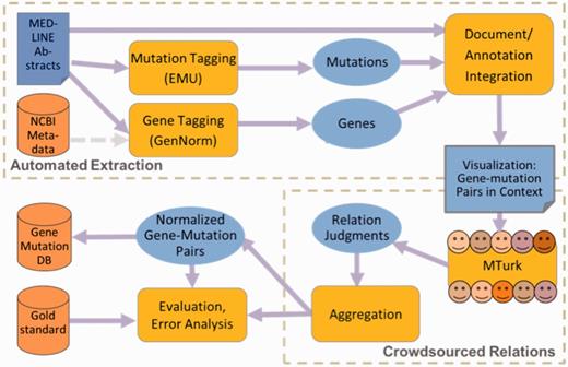 Schematic framework for hybrid curation.