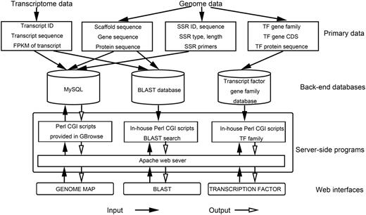 Overview of CarrotDB architecture.