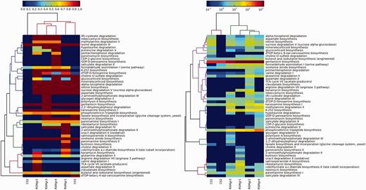 Values in the left panel are pathway completeness estimates. The values in the right panel are the total hits for each pathway that was normalized against its completeness. A minimum completeness of 75% was applied to both panels, where at least one sample had to satisfy for each pathway. The left panel demonstrates the presence or absence of selected pathways in the mangrove samples vs the control data sets, whereas the right panel shows the enrichment of these pathways.