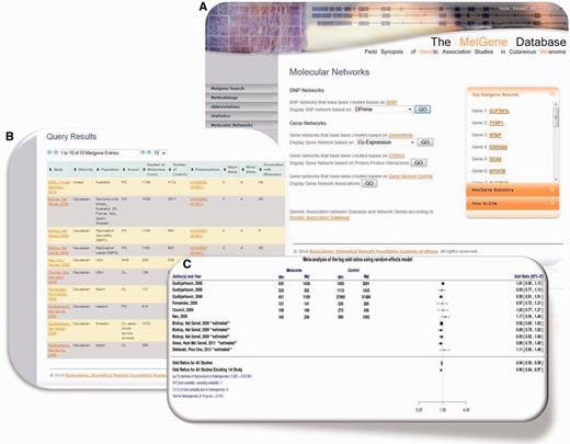 ( A ) Updated MelGene database search engine. Users are able to retrieve information available on MelGene based on keywords such as the gene name, polymorphism name, chromosome, first author of a publication, year of publication, ethnicity and the country of origin of study populations. ( B ) Polymorphism overview page and meta-analysis of polymorphism rs1042602 as an example. All publications that were included in MelGene and assessed rs1042602 in their data sets are listed in a sortable interactive table, and cross-links to the corresponding publications indexed in PubMed are provided in the database. ( C ) Forest plot of rs1042602 displays study-specific results as well as the summary OR , 95% CI and heterogeneity estimate.