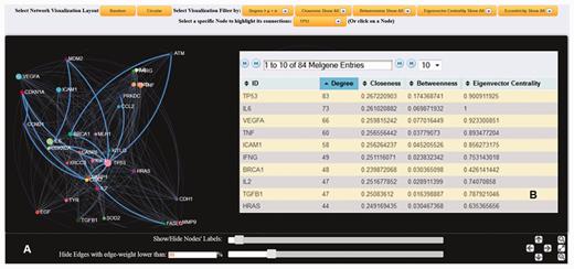 ( A ) Dynamic gene interaction network based on protein–protein interactions using the gene TP53 as an example. First neighborhood interactions of TP53 are highlighted against the entire protein–protein interaction network. In the present example, edges (interconnections) with weight <20% of the maximum weight value were omitted, and node (gene) labels with >10 interactions are displayed. ( B ) List of the calculated node-specific network features corresponding to node TP53 is provided.