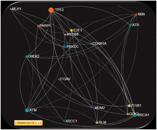 Screenshot of the gene network created using GeneMANIA physical interactions, filtered with degree ≥ μ + σ, were μ and σ are the mean value and standard deviation of the entire degree feature vector, respectively.
