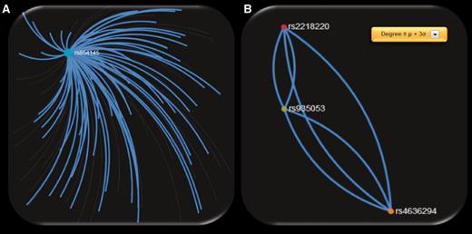 Screenshots of SNP networks created based on the DPrime SNP network of ( A ) rs854145 with no visualization filtering, ( B ) rs935053 with Degree ≥ μ + 3σ.