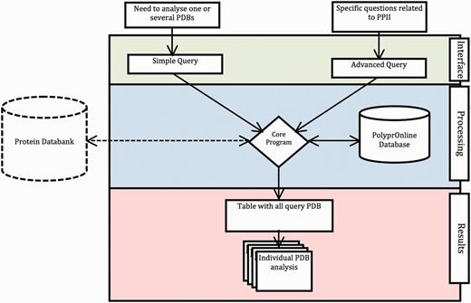 Data flow in PolyprOnline system. Access to the system can be done in two ways: through ‘Simple query’ for the analysis of one or more protein structures from their PDB code and through ‘Advanced query’ for performing more complex queries using different criteria such as resolution (Å), protein length, minimal and maximal number or percentage of residues in PPII conformation assigned by a particular tool. The last type of advanced query allows local structure search on specific positions using secondary structure patterns. It is also possible to dynamically upload and process a PDB file if it is absent of the database. The query is then processed to be interpreted by our Database Management System. In the case where a PDB structure is not found in the database, a PDB file can be downloaded from the Protein Databank website and dynamically processed by the system. PolyprOnline webserver offers the following outputs to display results: Summary of all protein identified by PDB code, title, size, resolution and PPII content, printed in a sortable table according to the values in different columns ( Figure 2 ). From this table, individual protein data analysis can be accessed individually ( Figure 3 ).