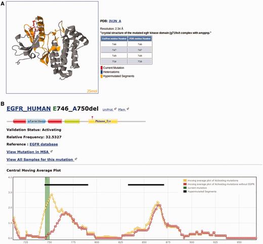 Snapshot of the Kin-Driver EGFR E746-A750del output. ( A ) Mutation EGFR E746-A750del mapped onto the structure of the selected human EGFR (pdb code 1M14). Other structures can be chosen for mapping. ( B ) Location of the mutation in a cmap plot ( n = 13).