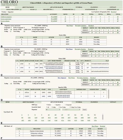 Browsing activity of ChloroSSRdb. ( A ) Home page showing name of organisms with SSR (mono–hexa) frequency. ( B ) Information of selected organism. ( C ) Primer sequences of SSRs. ( D ) Alignment of imperfect SSR with expected perfect SSR. ( E ) Advanced search page. ( F ) Results of advanced search.