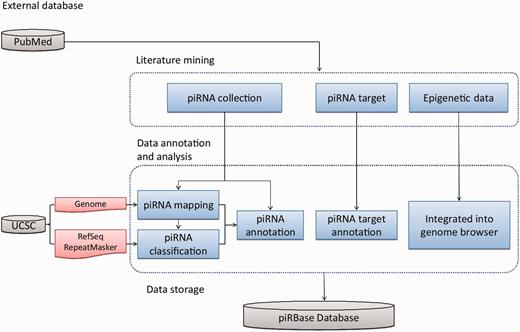 Database construction pipeline. The database was constructed in three major steps: manual literature mining, data annotation and analysis and data storage in a MySQL relational database with a Web interface.