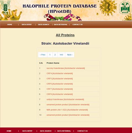 Snapshot of protein names of specific strains.