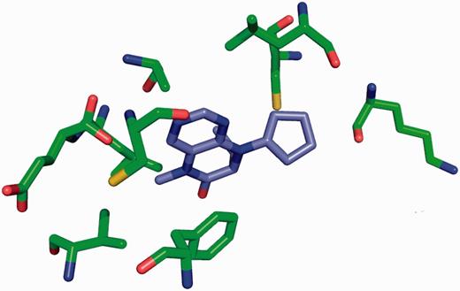 Binding site for the Plk-2 inhibitor (7R)-8-cyclopentyl-7-ethyl-5-methyl-7,8-dihydropteridin-6(5H)-one (3 letter code 11 G) in PDB entry 4i6b ( 31 ). The figure depicts the neighbouring residues that are within 3.7 Å of the ligand 11 G.