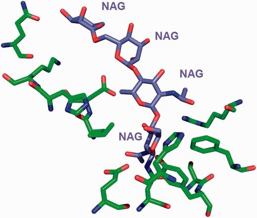 The environment for the oligosaccharide poly- N -acetylglucosamine (PNAG) is annotated instead of listing the environment of individual sugars. This avoids repeating the same sugar molecule in multiple binding sites.