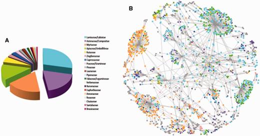 Summary representation of plant records in the EssoilDB. (A) The most populated families in the database, depicting Lamiaceae (cyan) and Asteraceae (pink) to have maximum number of records in the database, followed by Myrtaceae (orange) and Apiacae (green). (B) A network representation of the geographical distribution of these families, showing the connected component of the plant data network. Peripheral nodes represent plant species and hub nodes represent geographical locations. Note that Color codes are maintained between the panels.
