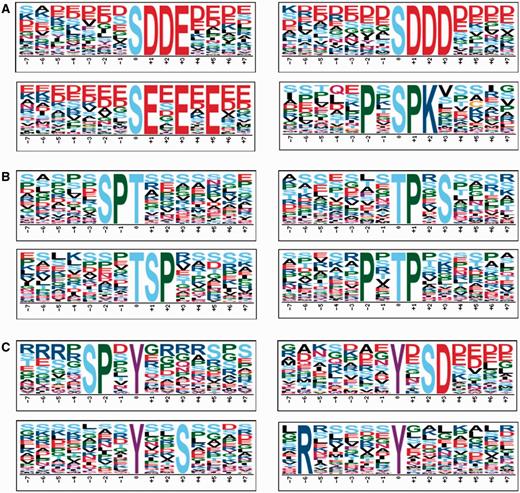 The top four most representative motifs discovered by Motif-x for phosphoserine, phosphothreonine and phosphotyrosine in Arabidopsis. (A) Motifs for phosphoserine. (B) Motifs for phosphothreonine. (C) Motifs for phosphotyrosine. The position 0 represents the modified residues.