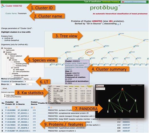 ProtoBug cluster page and several viewers from the simplified and advanced modes. The advanced mode is selected at the top right corner of the page. The cluster A566702 includes 181 proteins. A cluster is uniquely identified by its ID ( 1 ). Cluster name ( 2 ) is provided for clusters that show a minimal degree of consistency with the different resources for keyword (Pfam, Phobius, Clantox and Taxonomy). Tree viewer ( 3 ) is sensitive to the selection of the species ( 5 ) and the compression of the tree according to the LT ( 6 ). Family annotation is analysed using PANDORA viewer ( 7 ) and statistical significance ( 8 ). The proteins of the clusters are listed ( 9 ) with their immediate attributes (length, source and association to their child clusters).