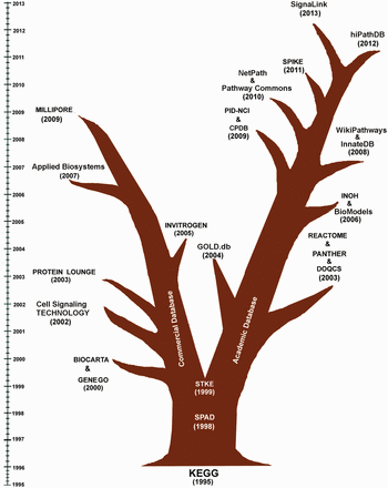 Evolutionary tree of the existing and active signaling pathway databases. This figure clearly depicts that KEGG, SPAD and STKE can be thought as the pioneers in the field of the development of human cell signaling databases. In the subsequent years, the evolution of human cell signaling databases is mainly led by the ‘Commercial Groups’ and several ‘Academic Groups’. The first commercial database, BIOCARTA and GENEGO were launched in 2000. In the subsequent years, several databases, like Cell Signaling TECHNOLOGY (2002), PROTEIN LOUNGE (2003), INVITROGEN (2005), Applied Biosystems (2007) and MILIPORE (2009) were also started to provide human cell signaling data freely to the users. By integrating the signaling pathway components with corresponding antibodies, drugs and inhibitor molecules, these commercial databases are promoting the bench biologists to order and purchase those products more conveniently from their websites. On the other hand, the evolution of the other branch of the human cell signaling database is been continuously developed and monitored by several academic research groups across the world. Since 1995, almost each year, on an average one or two such databases are launched. The objectives of these databases are wider than the commercial databases and are not only restricted to the pathway data annotation and presentation but also to the analysis of cross talks of multiple pathways, drug target identification, in silico simulation, development of computer readable pathway data sharing process and pathway analysis, etc.
