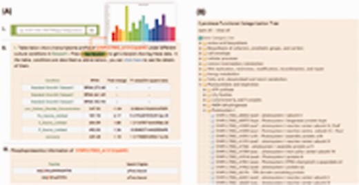 The search module and Cyanobase functional categorization tree integrated into the CyanOmics interface. (A) The search box and the extended search results page; (B) structure of the Cyanobase functional categorization tree on the website and an illustration of the drop-down list of the genes belonging to the corresponding category.