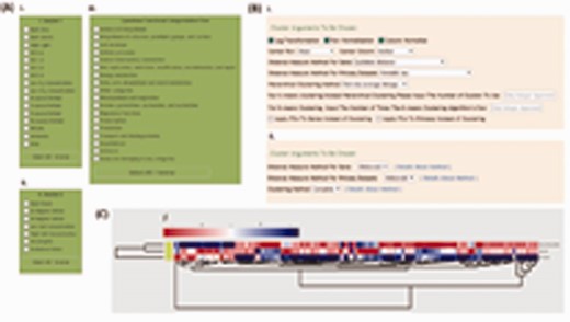Screenshots showing the interfaces and the resulting cluster analysis images from Cluster 3.0 and hclust in the Tools section. (A) Three dataset selection boxes containing experimental conditions and functional categories in Cluster 3.0 and hclust; (B) parameter panels provided by Cluster 3.0 and hclust; (C) a sample heatmap of the cluster analysis results.