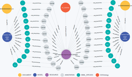 Visualization of Query BM3. The centered node (purple) is the requested annotation GO:0005892 (acetylcholine-gated channel complex). This node is connected to the orange node representing the GO term within the GO. The green nodes represent the species linked to the GO:0005892 annotation, the blue nodes represent the models ‘Edelstein1996—EPSP ACh event’ (BIOMD0000000001) and ‘Edelstein1996—EPSP ACh species’ (BIOMD0000000002). Documents are displayed as yellow nodes. Nodes in gray represent annotation containers as stated in the SBML specification ( 4 ) and do not carry any meaning themselves.