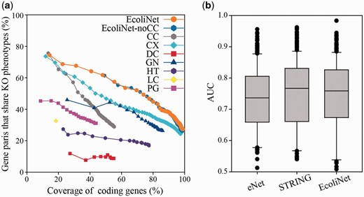 ( a ) Assessment of E. coli gene networks performed using data on knockout phenotypes in the presence of 324 different growth and chemical stress conditions. The plot represents the percentage coverage of the E. coli coding genome vs. the percentage of E. coli gene pairs that share at least one knockout (KO) phenotype. Cumulative accuracy ( y -axis) of a network was measured for each successive bin of 1000 gene pairs sorted by network edge scores, and coverage ( x -axis) of each accuracy measure was based on the total number of genes of the cumulated set of gene pairs. EcoliNet outperforms all individual networks derived from seven data types as well as eNet. EcoliNet with no links derived from CCs (EcoliNet-noCC) shows overlap of performance curves for the assessment with the intact EcoliNet. Codes for seven data types are summarized in Table 1 . ( b ) Box-and-whisker plots summarize the prediction performance for eNet, STRING, and EcoliNet. The AUC values between eNet and EcoliNet shows significant difference ( P = 2.28 × 10 −4 , Wilcoxon signed rank test), while those between STRING and EcoliNet are not significantly different ( P = 0.31, Wilcoxon signed rank test). Because the number of links can affect performance measure, we used only top 79 876 links, the size of eNet, for testing all three networks.
