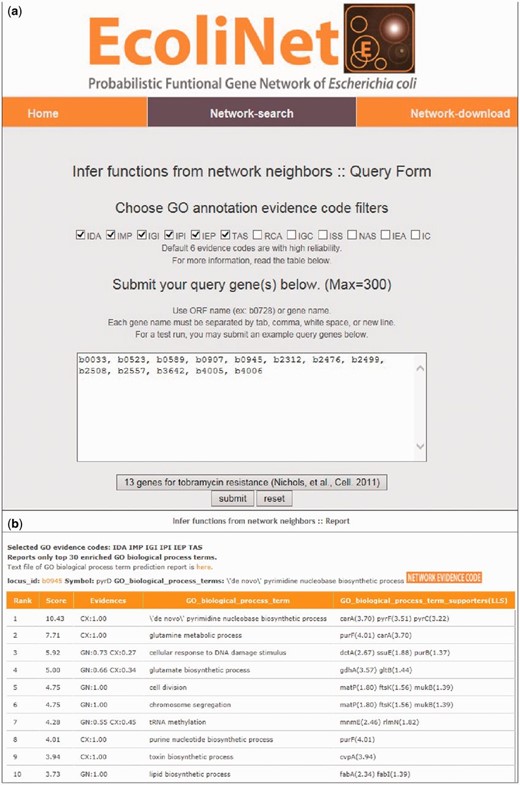 EcoliNet search results by ‘Infer functions from network neighbors’ option for tobramycin resistance genes. ( a ) ‘Infer fucntions from network neighbors’ option may take multiple query genes. GO-BP terms for prediction can be filtered for various GO evidences and default setting used the following six types of reliable evidences: inferred from direct assay (IDA), inferred from mutant phenotype (IMP), inferred from genetic interaction (IGI), inferred from physical interaction (IPI), inferred from expression pattern (IEP), traceable author statement (TAS). ( b ) Top 10 inferred GO-BP terms for ‘b0945’, a genes for tobramycin resistance.