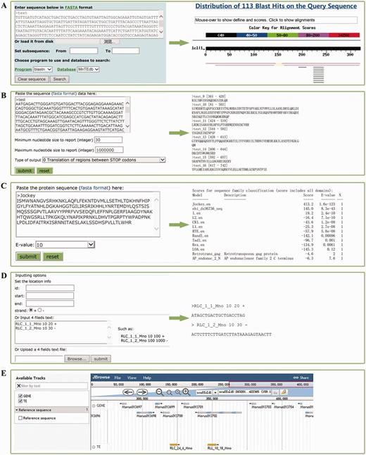 Snapshots of analysis tools provided in MnTEdb. (A) The BLAST interface (left) and a sample of BLASTn results (right). (B) The GetORF interface and the snapshots of the output results. (C) HMMER interface of a test protein sequence in MnTEdb. (D) An example of the input and output interface of the Sequence extractor. (E) Genome sequence view in JBrowse of a region in scaffold1. The gene models from the v1.0 genome version of M. notabilis were embedded in the Gene track.