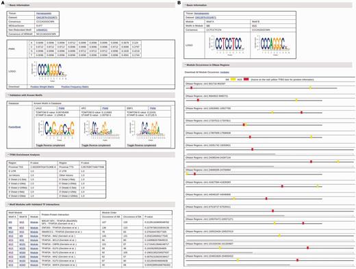 (A) The information page for the motif M15 in the dataset GM12878-DS10671. (B) The information page for the motif module composed of motifs M6 and M15 in the dataset GM12878-DS10671.