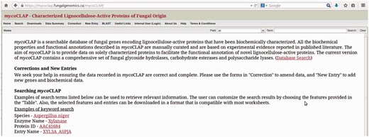 The mycoCLAP homepage.