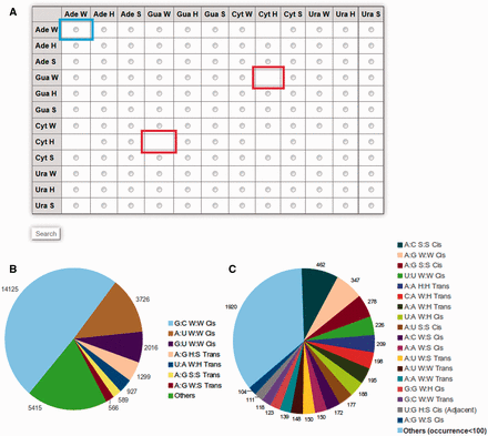 ( A ) Matrix table for efficient browsing of base pair information available in RNABP COGEST. Each cell of the matrix indicates a specific base–base interaction in a particular geometry, e.g. the cell highlighted by the blue box indicates W:W type interaction between two Adenine bases. Selecting the radio button of a cell, followed by clicking on the search button at the end of the table, opens up a list of all possible base pairs between the given bases in their selected geometries. Cells without radio buttons (example cells marked in red) correspond to base pairs and geometries which cannot be stabilized through hydrogen bonds. ( B ) Pie chart showing distribution of occurrence frequencies of seven ‘most frequent’ base pairs in the non-redundant dataset. ( C ) Distribution of occurrence frequencies of base pairs, referred to as ‘others’ in (B), and, which occur more than 100 times in the non-redundant dataset.