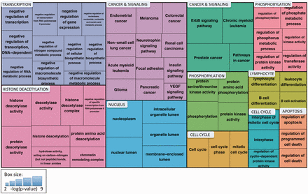 Treemap of enriched Gene Ontology and KEGG pathway terms for proteins identified by eFIP that, when phosphorylated, interact with 14‐3‐3 proteins in the context of cancer. Enriched terms were clustered using the DAVID Functional Clustering tool, which groups terms based on sharing common genes. Term clusters are represented as different colored blocks. For each term, box size reflects the p value of the term enrichment (more significantly enriched terms are in larger boxes). The p values range from 6.44 × 10 −9 (hsa04012:ErbB signaling pathway) to 6.28 × 10 −3 (hsa04370:VEGF signaling pathway).