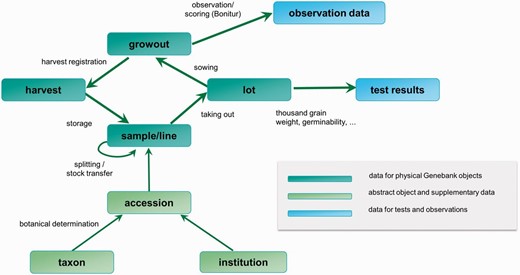 Important domain objects and data management-related genebank workflows.