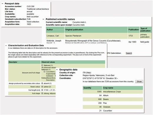 Compilation of screenshots of the accession details view in the GBIS/I application. It shows a kaleidoscope of data from different data domains supporting scientists, breeders and other interested users to select appropriate genebank accessions. It represents the view for external users onto the data managed by the genebank curators as shown in Figure 3 .