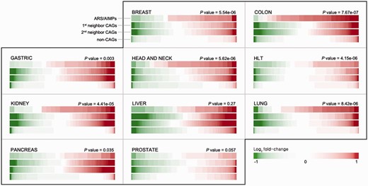 Differential expression of ARS/AIMPs and their neighbors. IDA provides a functionality for exploration of differential expression of the four groups of the genes in the 10 cancer types: (i) ARS/AIMPs, (ii) and (iii) their first and second neighbor CAGs and (iv) non-CAGs. The color bar for each group shows sorted log 2 -fold-changes of the genes in the group. Compared with non-CAGs, the ARS/AIMPs and their interactors showed more significant differential expression in the 10 cancer types. The t -test was used to compute P -values representing the significances of the differences between the mean log 2 -fold-change values of ARS/AIMPs and non-CAGs. Color bar denotes the gradient of log 2 -fold-changes of the genes. HLT: hematopoietic and lymphoid tissue.