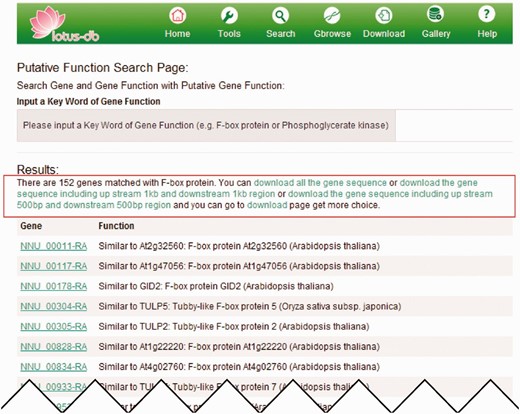 An example of searching genes by putative function. The page output when ‘putative kinase’ is searched. The red rectangle indicates the hyperlinks that allow users to download the CDS, protein and flanking sequences as fasta format.