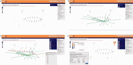 Screenshots of the regulatory overview page showing different options. The inner ring contains master regulators and σ factors while the outer ring contains genes that are regulated only. Genes that are solely regulated by activators are represented by a plus sign. Genes that are solely regulated by inhibitors are represented by a minus sign. Genes that regulated by both inhibitors and activators are represented by a circle. Genes encoding σ factors are represented by squares. LMRG_02663 encodes the alternative σ factor, σ H . ( A ) Initial page showing the “Operations” menu at the right. ( B ) Screenshot showing genes directly regulated by σ B highlighted in green. Notice that among these genes are the transcription factor encoding genes prfA , mogR , yvoA , hrcA and cggR . C: Screenshot showing genes directly and indirectly regulated by σ B . Genes are highlighted with different colors according to the transcription factor that directly regulates them; genes directly regulated by σ B are highlighted in green. Genes indirectly regulated by σ B and directly regulated by other regulators are color coded in orange (PrfA-regulated genes), light blue (MogR-regulated genes), purple (YvoA-regulated genes), red (CggR-regulated genes) and magenta (HrcA-regulated genes). A list of genes directly regulated by PrfA is shown at the bottom right. ( D ) Screenshot showing the overlay of experimental data within the regulatory overview. The average fold changes (FC = parent strain/Δ sigB mutant) of significantly σ B positively regulated genes identified in an RNA-Seq study by ( 25 ) were overlaid. A legend at the top left part of the figure shows the color-coding associated with the amplitude of the FC. A “Omics Data Report Table” providing some summary statistics is also shown at the bottom left part of the screenshot. Notice that most genes identified in that study as being σ B -dependent are solely regulated by σ B .