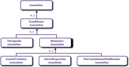 The DisGeNET association type ontology.