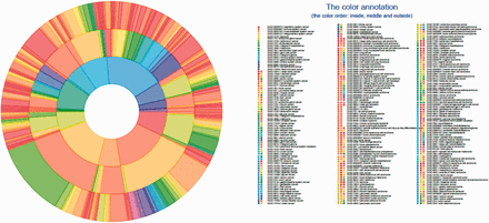 DO cancer Circos plot showing the hierarchical structure of the system. All mapped subsumed terms (the innermost layer), TopNodes_DOcancerslim level terms (the middle layer) and child terms (the outermost layer) are plotted with the full DOIDs/terms listed. The top-level terms and child terms are available in the Supplementary Table S1 . The summarized terms are derived from the level under cell type cancer and organ system cancer of DOID / cancer in DO.