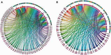 An example showing pan-cancer view of gene mutations mapped to DO cancer terms. A. Six oncogenes were mapped to 110 DO terms. The bandwidth represents the number of unique SNVs found in that gene in different cancer types. B. TopNodes_DOcancerslim display of the same analysis which shows 46 cancer terms associated with mutations found in six oncogenes. Overall, panel B displays a clearer view and the summarization enables large-scale analysis on an entire set of oncogenes or tumor suppressors across multiple cancer types. DOID terms are available in Table 1. HGNC gene symbols are used to represent the cancer genes.