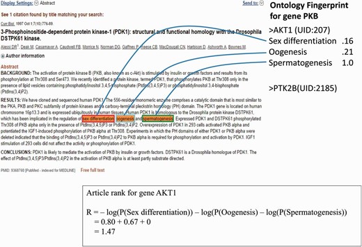 An example of a PubMed abstract (PubMed ID: 9368760) that contains three GO terms for gene AKT1 . The Ontology Fingerprint of the gene and the calculation of the gene’s rank are illustrated.