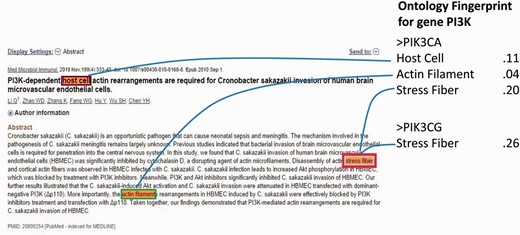 A negative case with a gene name pi3k annotated as gene PIK3CA by our method, and NCBI designated it as PIK3CG .