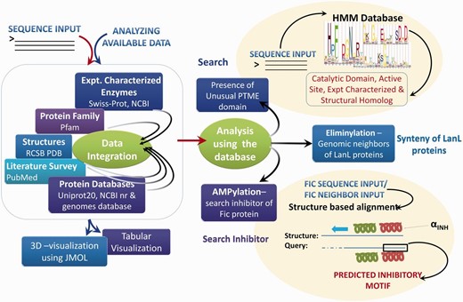 Schema of novPTMenzy workflow. The right panel depicts various possible sequence and structure-based analysis.