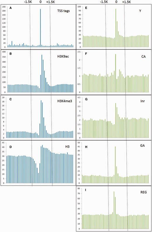 TSS tags, histone modification of H3K9ac and H3K4me3, and core promoter motifs (Y patch, CA, Inr, GA and REG) are enriched around experimentally verified TSSs, whereas nucleosome H3 are declined. The vertical and horizontal axis represent the accumulative number of each feature (X 1000 ) and genomic location (from −5 to +5 kb relative to experimentally verified TSSs, window size = 200 bp) representatively.