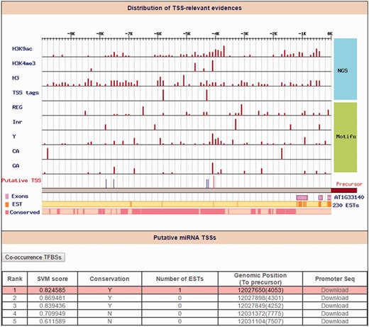 Identification of ath-miR5630b TSS. Distribution of TSS-relevant evidence (including 4 high-throughput sequencing datasets and 5 core promoter motifs) is displayed in the 10 kb upstream of the ath-miR5630b precursor. The orange line and the pink rectangles represent the initiation of expressed sequence tags (ESTs) and conservation blocks, respectively. On the other hand, the red line denotes the representative TSS for ath-miR5630b (Rank 1), and the blue lines denote other TSS candidates of ath-miR5630b.