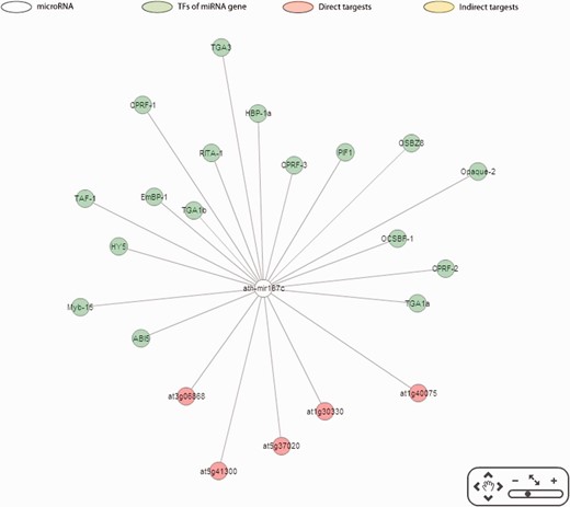 Reconstruction of miR167c regulatory network.