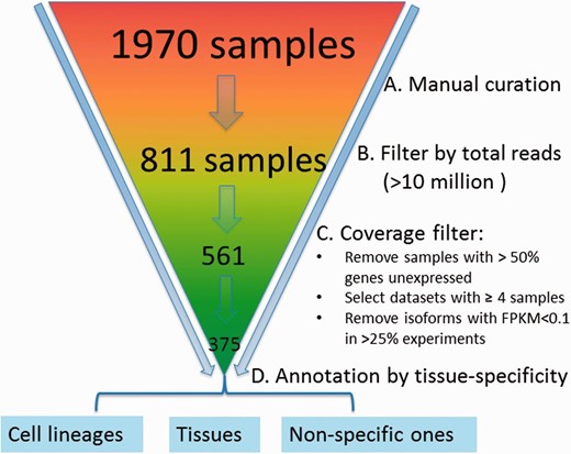 Preprocessing and quality control of RNA-seq data. The initial set of 1970 samples downloaded from the SRA database was first manually examined to ensure that samples have are only from RNA-sequencing of mouse samples followed by removal of those with <10 million reads, resulting in 561 samples. Data are further processed by (i) removing samples with >50% genes unexpressed, (ii) removing datasets with <4 samples, (iii) removing isoforms with RPKM < 0.1 in >25% experiments and (iv) log 2 transformation; 375 samples were retained finally and grouped into 43 datasets, which are mainly cell lineage- or tissue-specific.