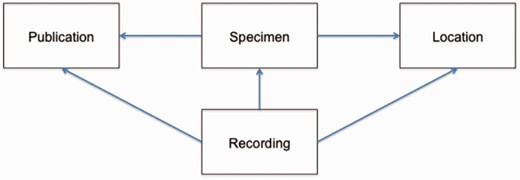 Data linkages in BioAcoustica. The creation of links is a unidirectional process, although back- and forward-links are presented to the end user.