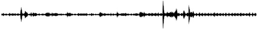 Waveform generated by the wavesurfer.js library (from: http://bio.acousti.ca/node/11778 ).