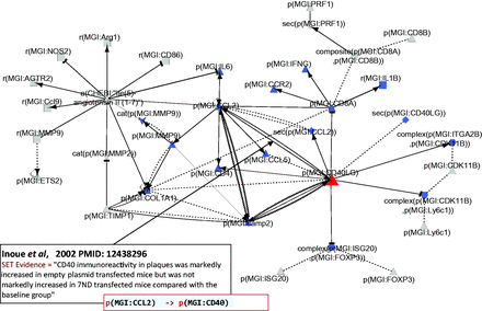 Part of the network showing CD40LG and its interactions with other hub nodes. Biological entities or nodes. CD40LG is indicated in red, and the nodes that are regulated by CD40LG are indicated in blue. An example of evidence extracted from Inoue et al . ( 53 ) (PMID: 12438296) with the semi-automated extraction workflow and the associated BEL statement are given in the two boxes on the bottom left of the figure. Square, RNA abundance; triangle, protein abundance; V shape, protein activity; hexagon, complex; diamond, secretion. (B) Relationships or edges. Lines with dark arrows indicate positive causal relationships; lines with dark Ts indicate negative causal relationships; black sine waves indicate correlative relationships and black dotted lines indicate non-causal relationships.