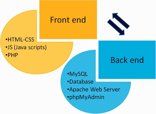 Web development strategy of CRDB.