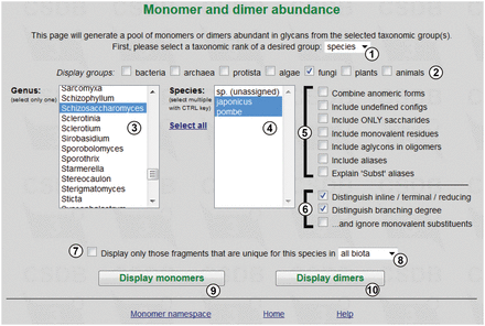 Fragment abundance form.