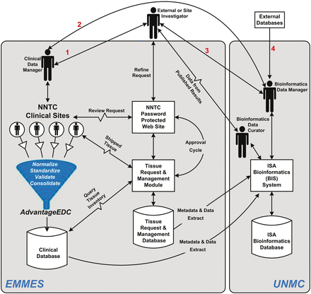 Information and data management flow for the DCC. Investigator requests go through ( 1 ) the clinical data manager who works with the investigator and data available through the web site to refine the request, which is then transmitted to the clinical sites and/or ( 2 ) the bioinformatics data curator, who can also work with ( 3 ) the investigator to refine the request as well as coordinate bioinformatics and epidemiological assistance as needed. Requests are entered into the management system for approval processes, and shipment of specimens/access to data is tracked for completeness. Once studies are complete the data curator works with the bioinformatics data manager to capture the data into the bioinformatics database, which is linked to the clinical database as well as outside databases ( 4 ) containing information on NNTC (and potentially other related) experiments.